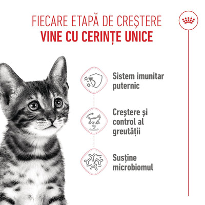 Royal Canin Kitten Sterilised hrana uscata pisica sterilizata junior