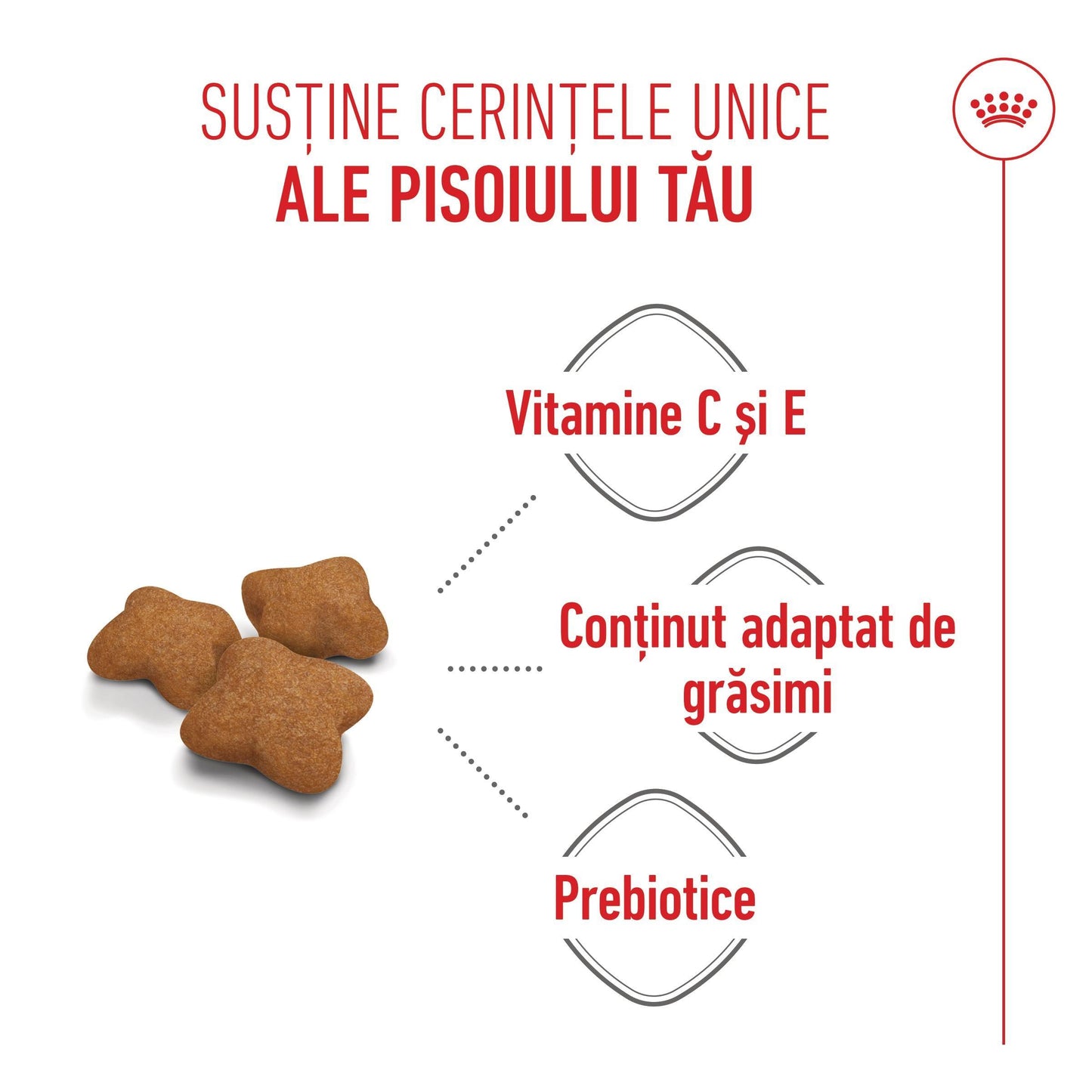 Royal Canin Kitten Sterilised hrana uscata pisica sterilizata junior