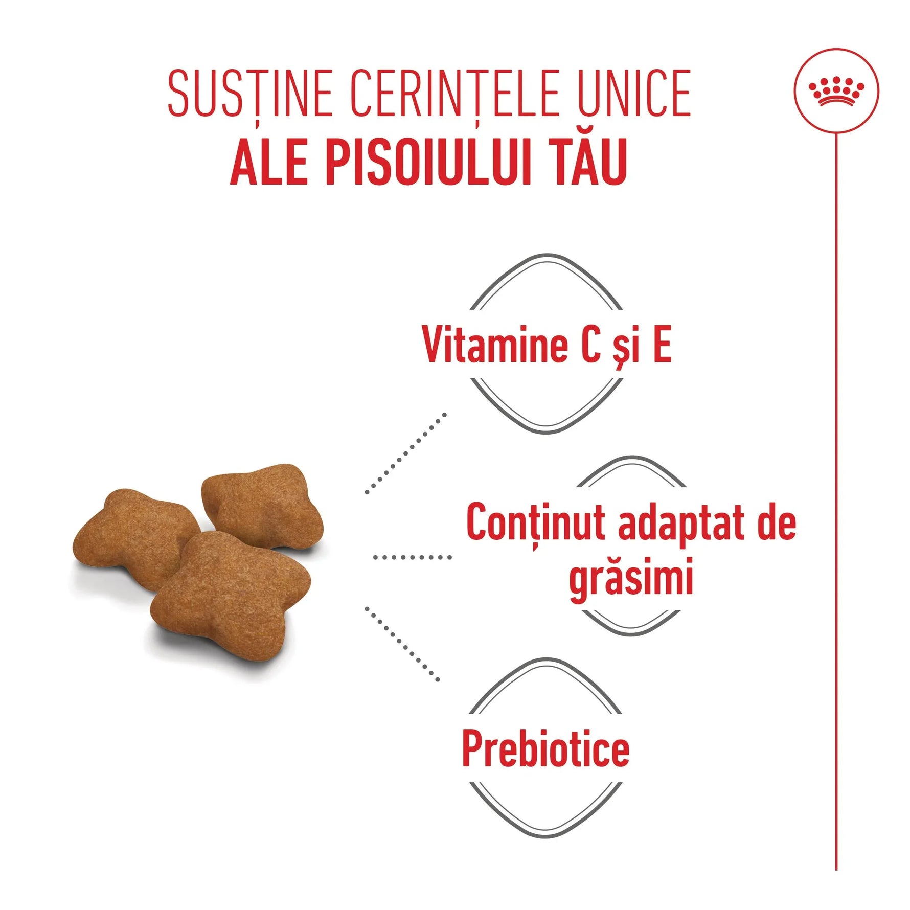 Cat food kibbles with vitamins C and E, adapted fat content, and prebiotics, Romanian text