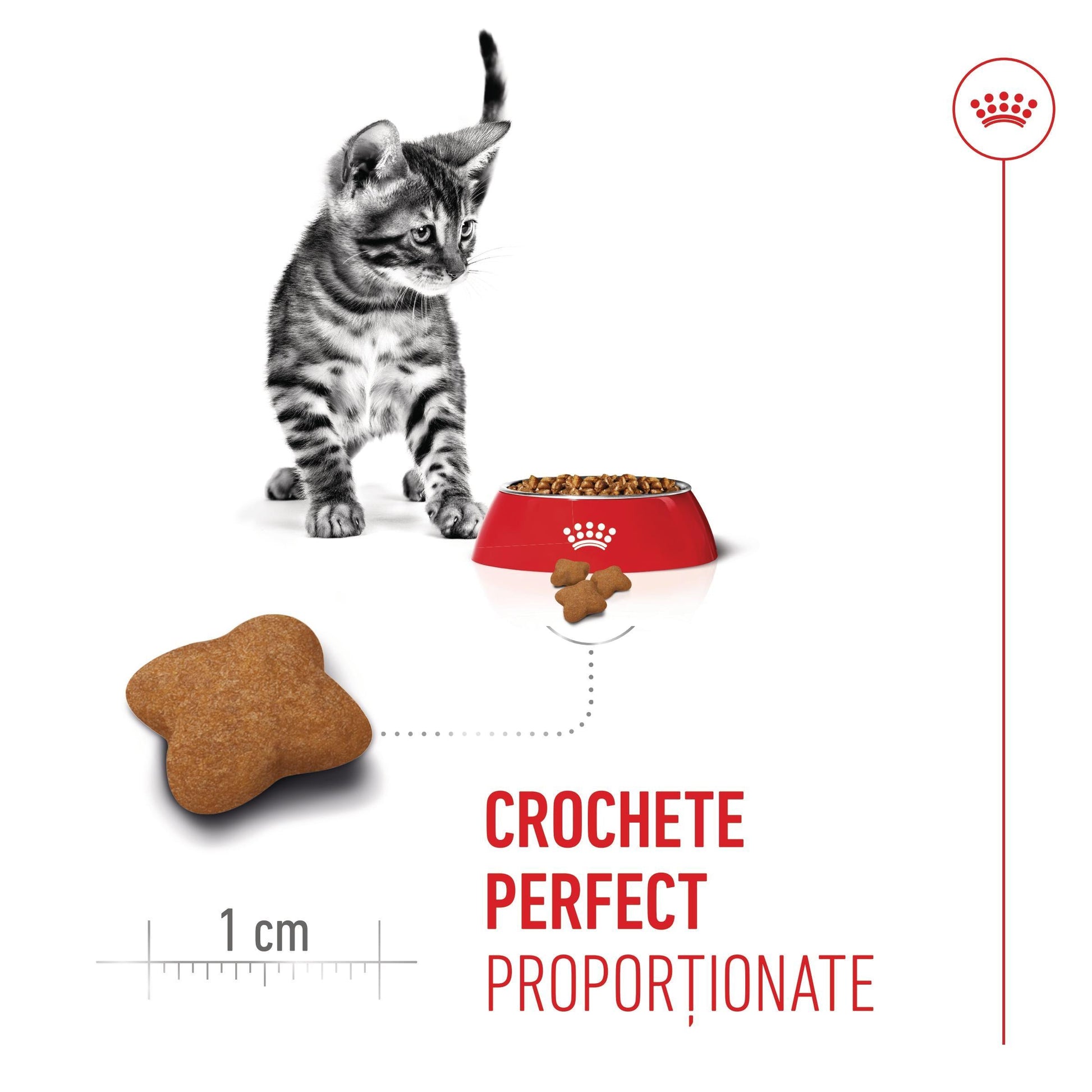 Royal Canin Kitten Sterilised hrana uscata pisica sterilizata junior