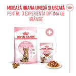 Royal Canin Sterilised kitten food mix of dry and wet food for 6 to 12 months with cat image