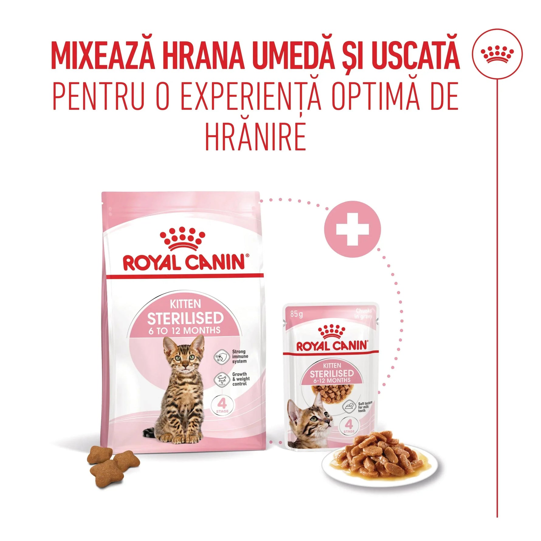 Royal Canin Sterilised kitten food mix of dry and wet food for 6 to 12 months with cat image