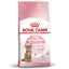 Royal Canin Kitten Sterilised hrana uscata pisica sterilizata junior