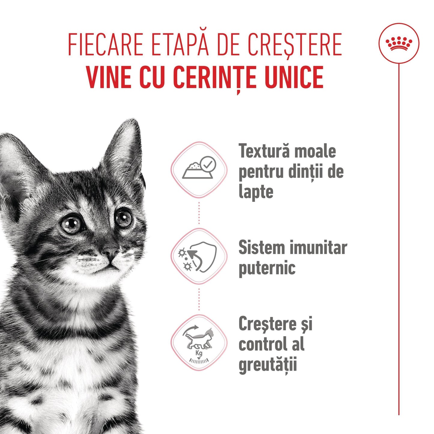 Royal Canin Kitten Sterilised hrana umeda pisica sterilizata junior (in sos)