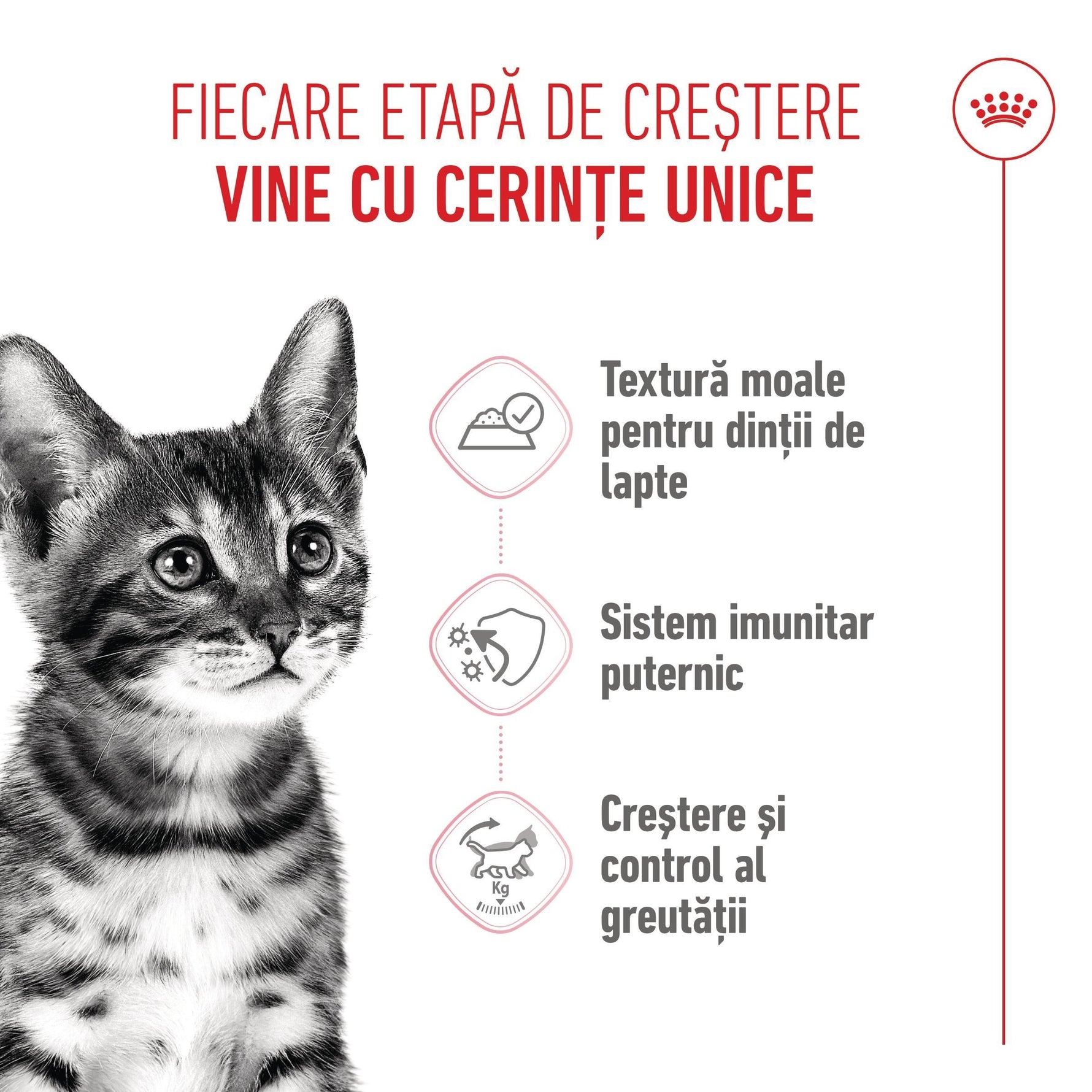 Black and white kitten with Romanian text highlighting benefits like soft texture, strong immunity, and weight control