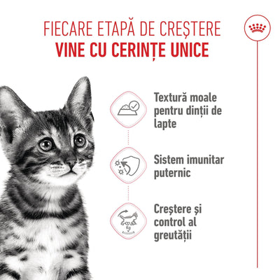 Royal Canin Kitten Sterilised hrana umeda pisica sterilizata junior (in sos)