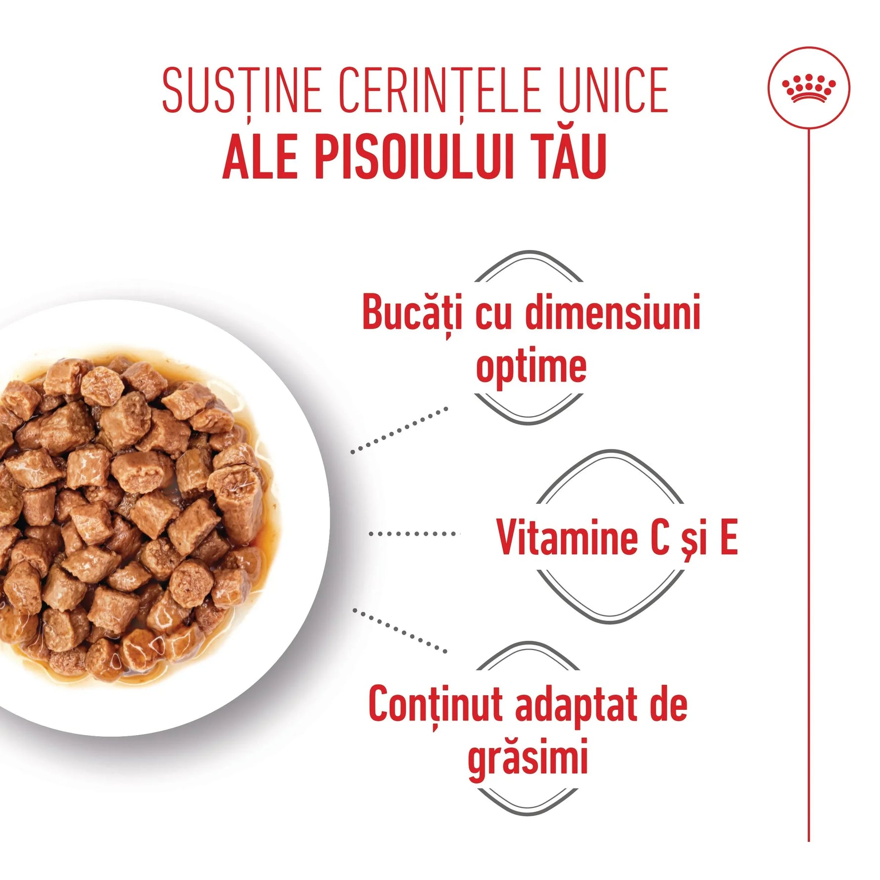 Wet cat food in gravy with optimal-sized chunks, vitamin C and E, and balanced fat content