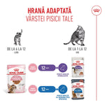Royal Canin age-adapted sterilised cat food for kittens 6-12 months and adult cats 1-12 years with sensitivities