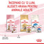 Royal Canin Kitten Sterilised hrana umeda pisica sterilizata junior (in sos)
