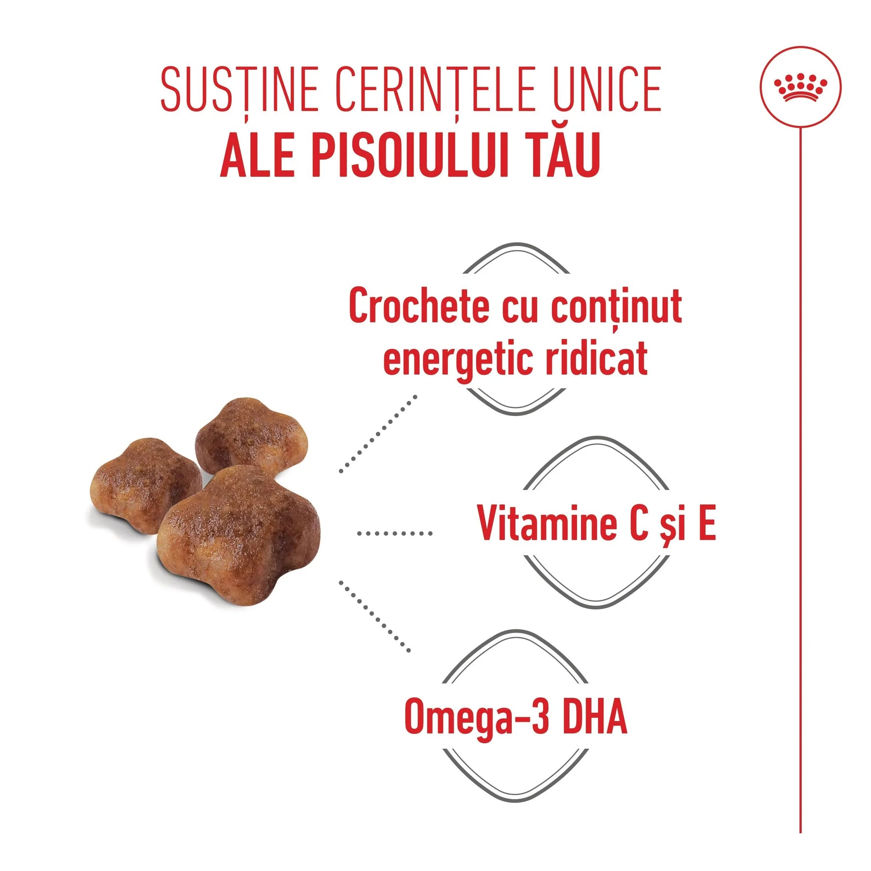 Three brown high-energy croquettes for cats with vitamins C, E, and Omega-3 DHA