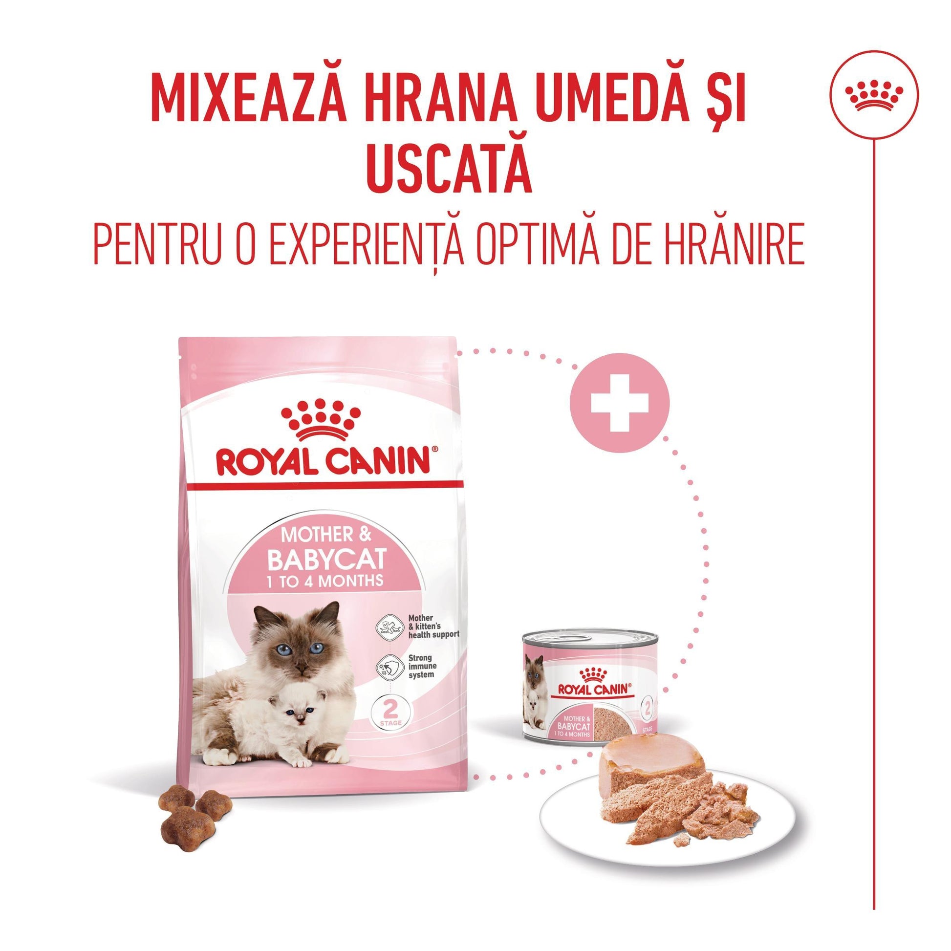 Royal Canin Mother & BabyCat hrana uscata pisica, mama si puiul