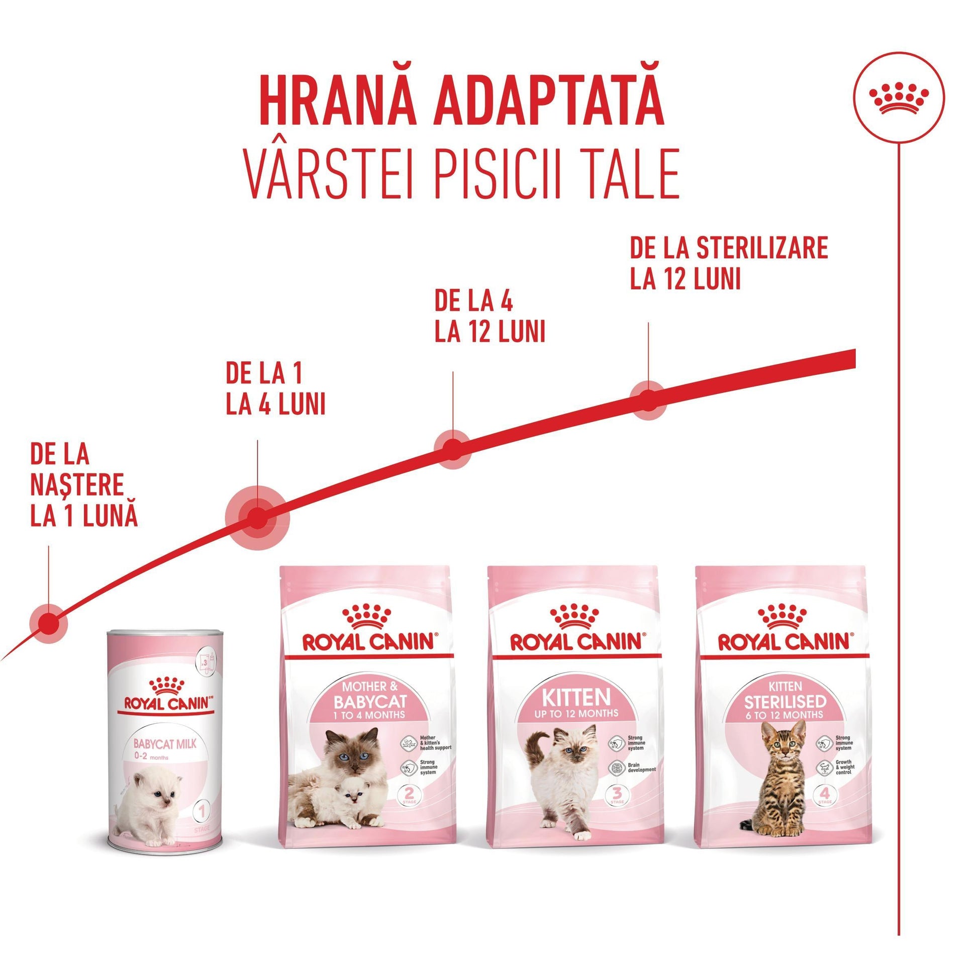 Royal Canin Mother & BabyCat hrana uscata pisica, mama si puiul