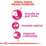 Infographic with cat food benefits in Romanian: double taste sensation, optimal weight, individual preference