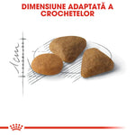 Three different-shaped brown dry pet food kibbles next to centimeter scale and sketch lines