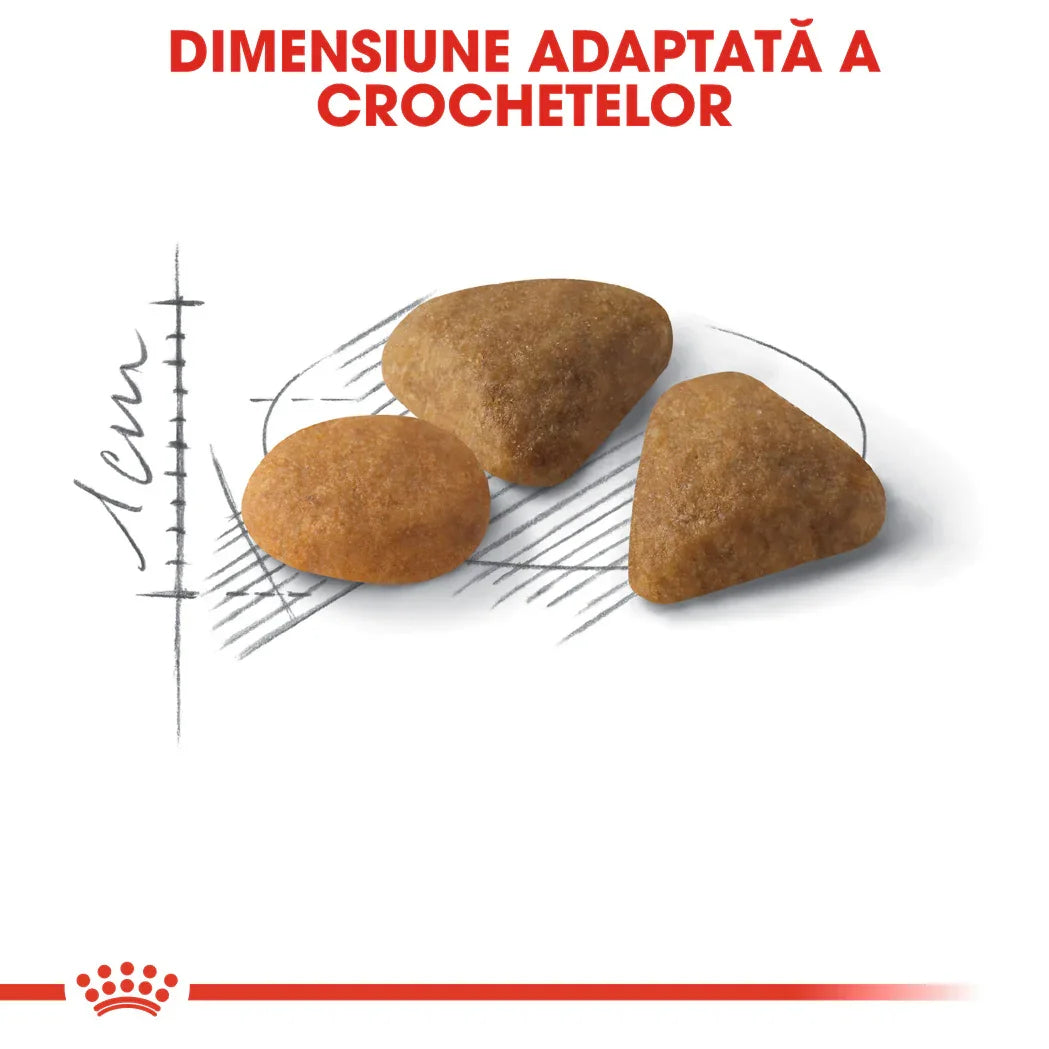 Three different-shaped brown dry pet food kibbles next to centimeter scale and sketch lines