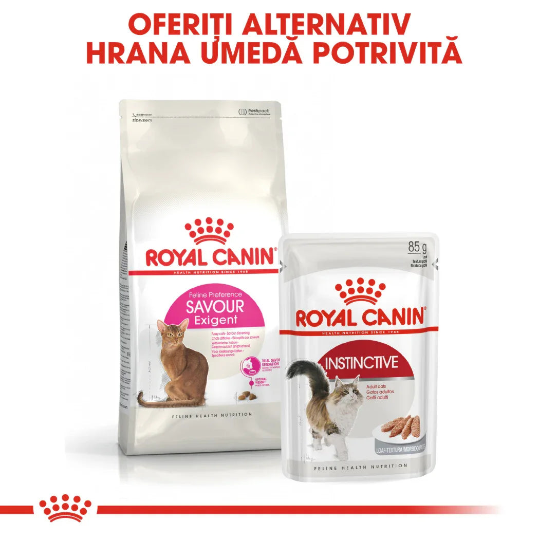 Royal Canin cat food products featuring Feline Preference Savour Exigent dry food and Instinctive wet food for adult cats