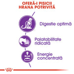 Romanian cat food benefits infographic highlighting optimal digestion, high palatability, and concentrated energy