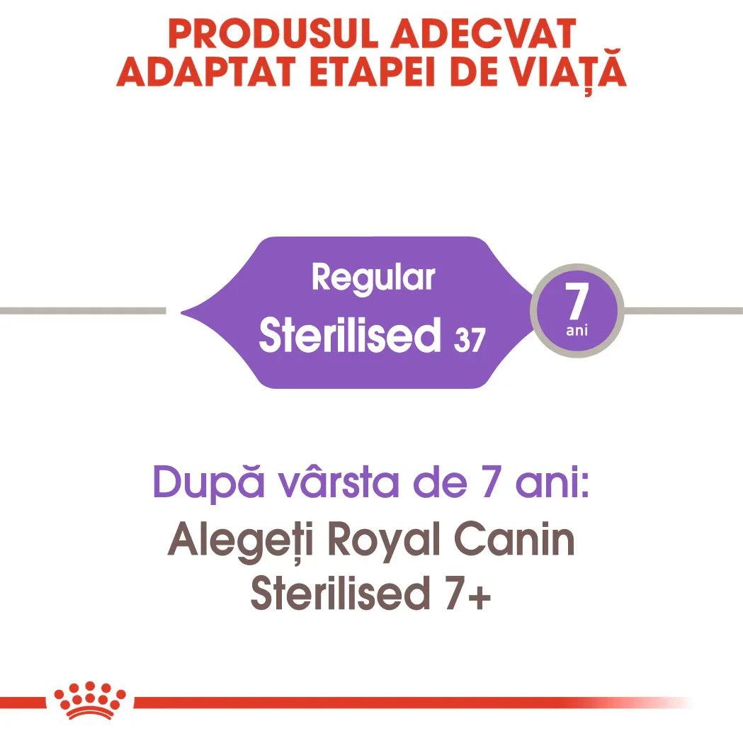 Royal Canin Sterilised 37 cat food, suitable for cats aged 7 years, life stage adapted nutrition