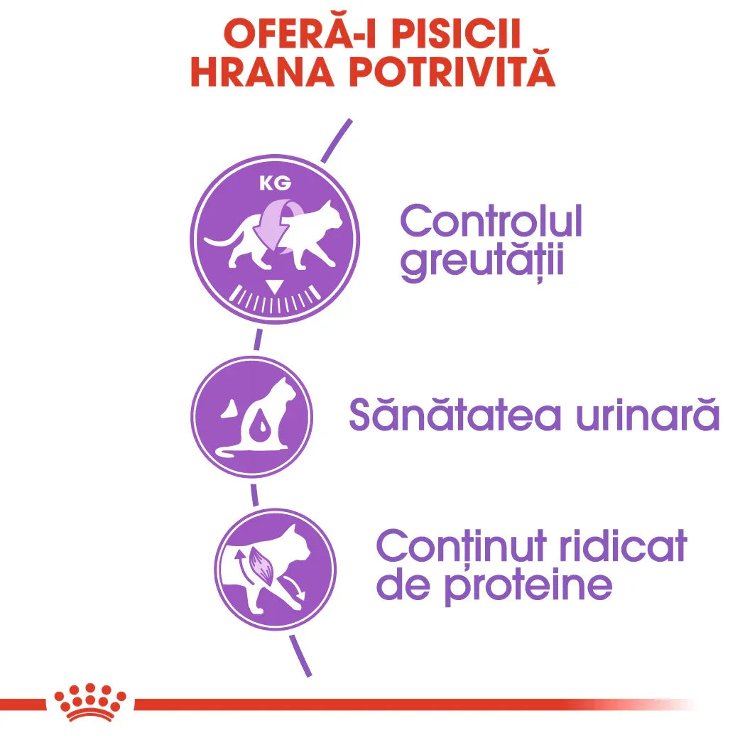 Infographic in Romanian highlighting cat food benefits: weight control, urinary health, high protein content