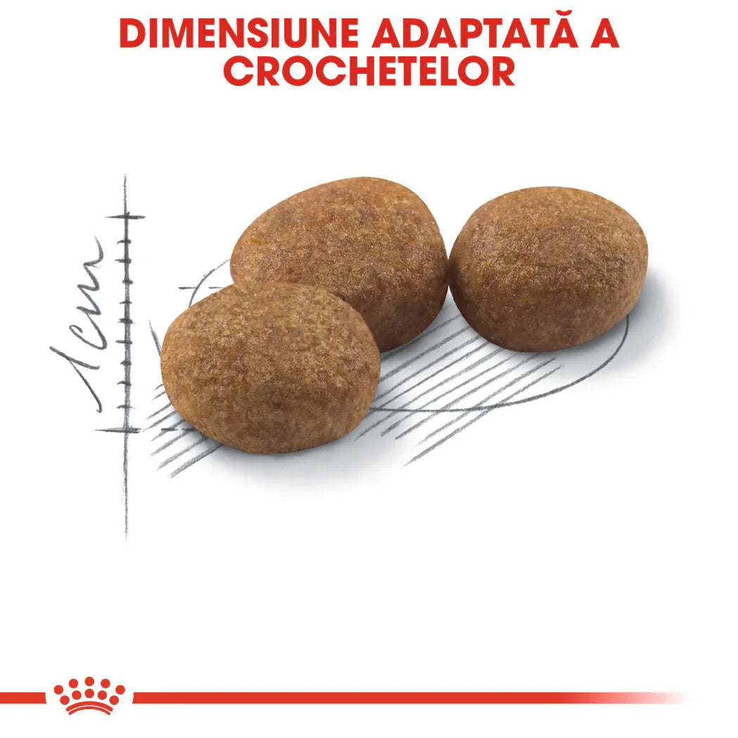 Three brown round kibble pieces with sketch and scale, text in Romanian about kibble size