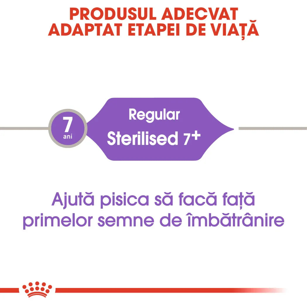 Royal Canin Sterilised cat food for cats aged 7+ helps combat early aging signs