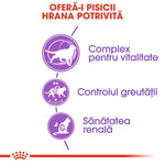Romanian infographic for cat food benefits showing vitality, weight control, and renal health icons
