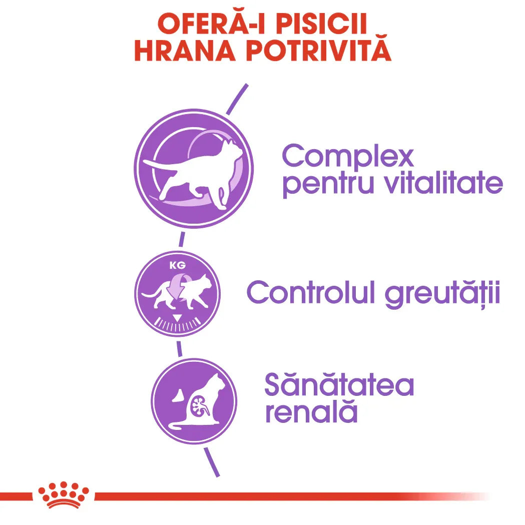 Romanian infographic for cat food benefits showing vitality, weight control, and renal health icons