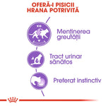 Romanian cat food infographic showing weight maintenance, healthy urinary tract, and instinctive preference icons
