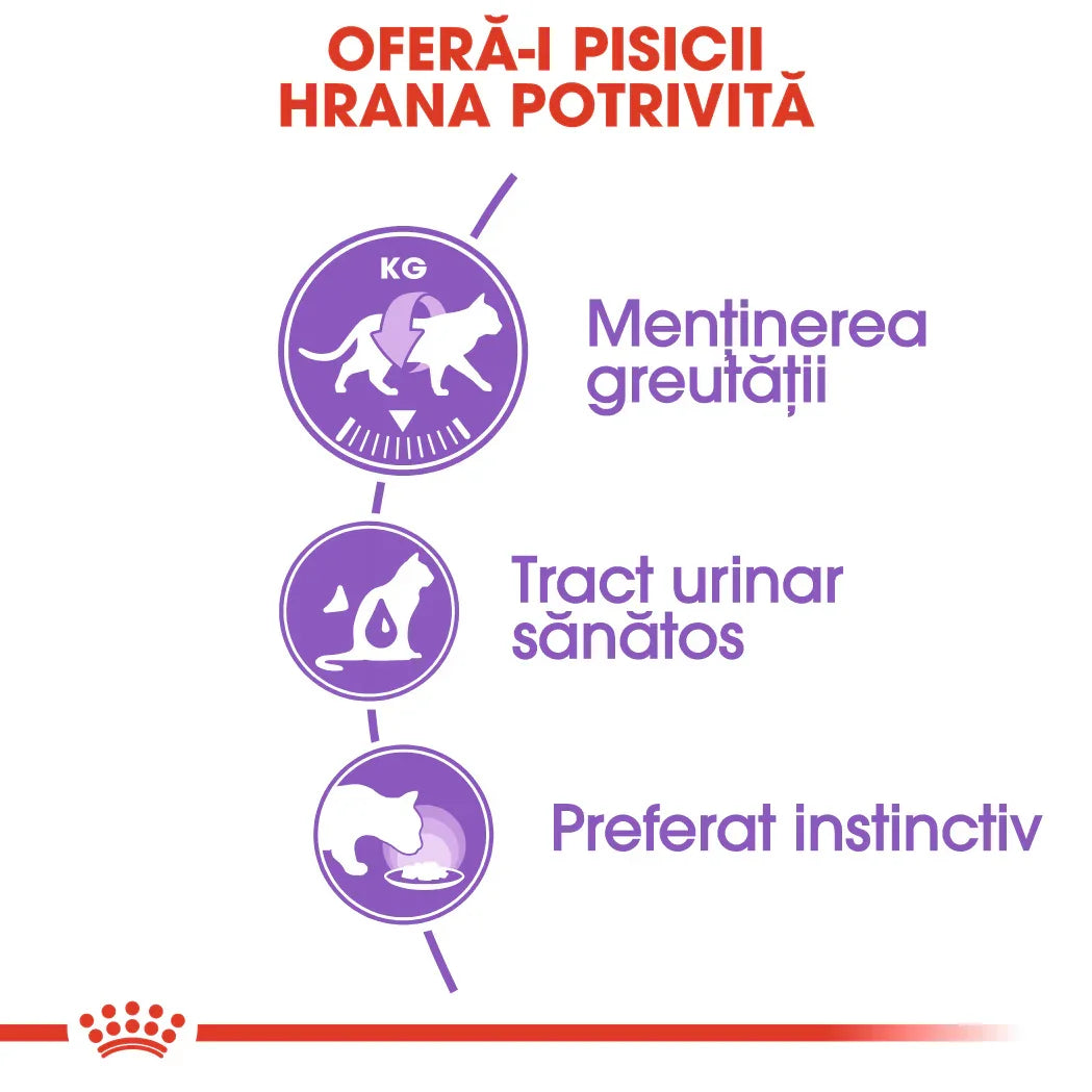 Romanian cat food infographic showing weight maintenance, healthy urinary tract, and instinctive preference icons