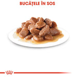 Plate of wet sterilized gravy chunks on white background with Romanian text Bucățele în sos
