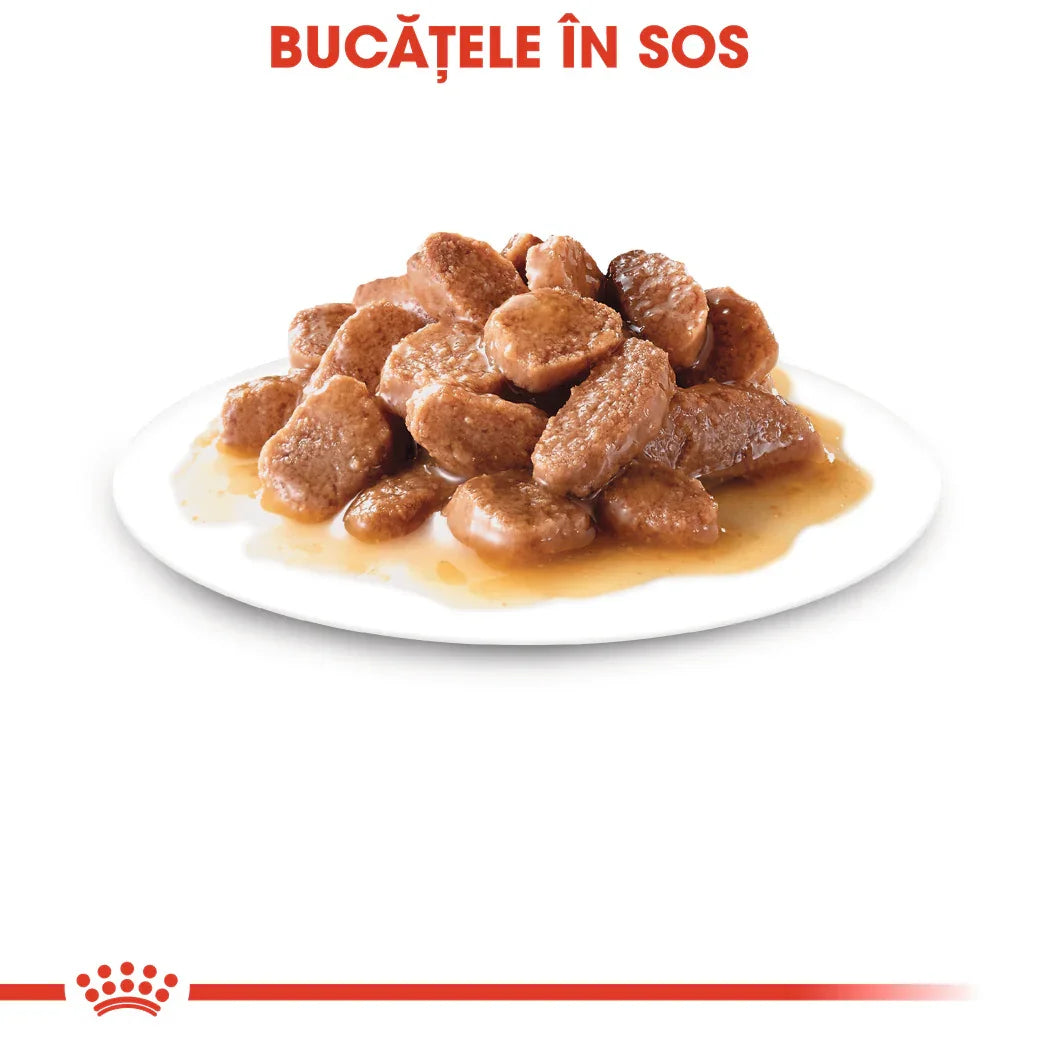 Plate of wet sterilized gravy chunks on white background with Romanian text Bucățele în sos