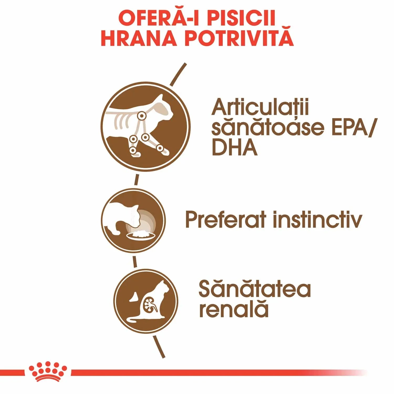 Romanian cat food benefits infographic showing healthy joints with EPA/DHA, preferred instinctively, and kidney health