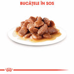 Plate of brown meat chunks in gravy on white plate, Romanian text above