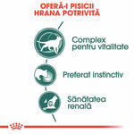 Romanian cat food infographic highlighting vitality complex, instinctive preference, and kidney health