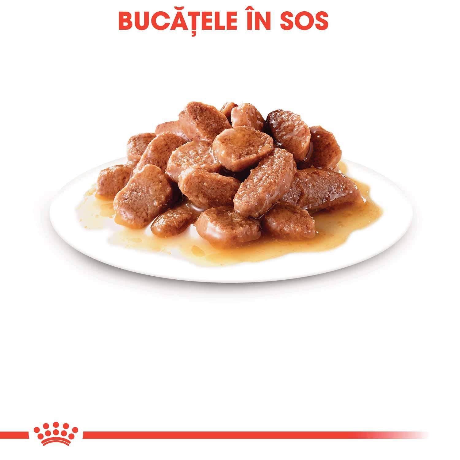 Plate of brown chunks in gravy, Romanian text 'Bucătele în sos' meaning pieces in sauce