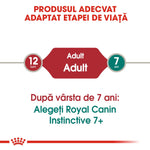 Text infographic explaining Royal Canin dog food adapted for life stages from adult 12 months to 7 years and older