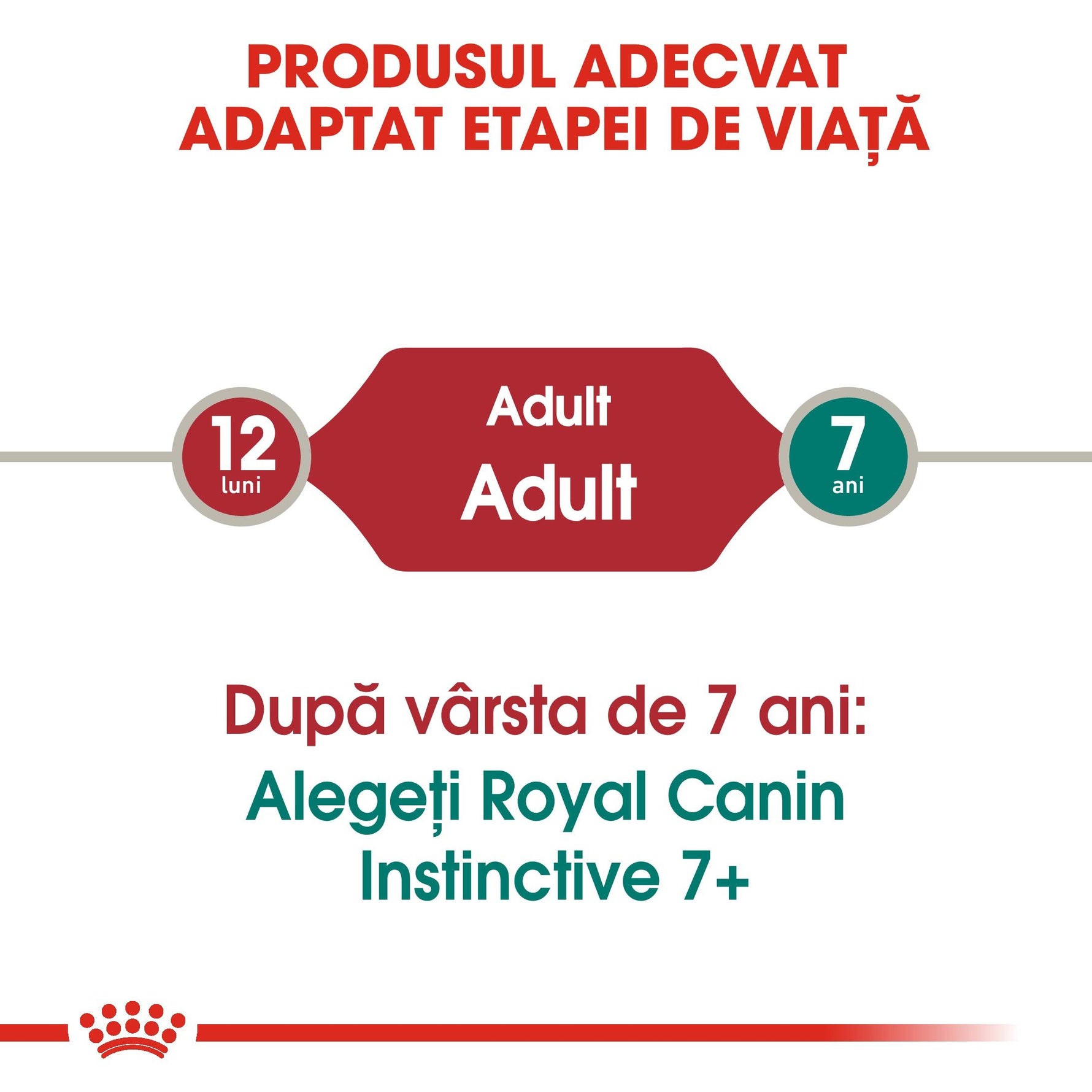 Text infographic explaining Royal Canin dog food adapted for life stages from adult 12 months to 7 years and older