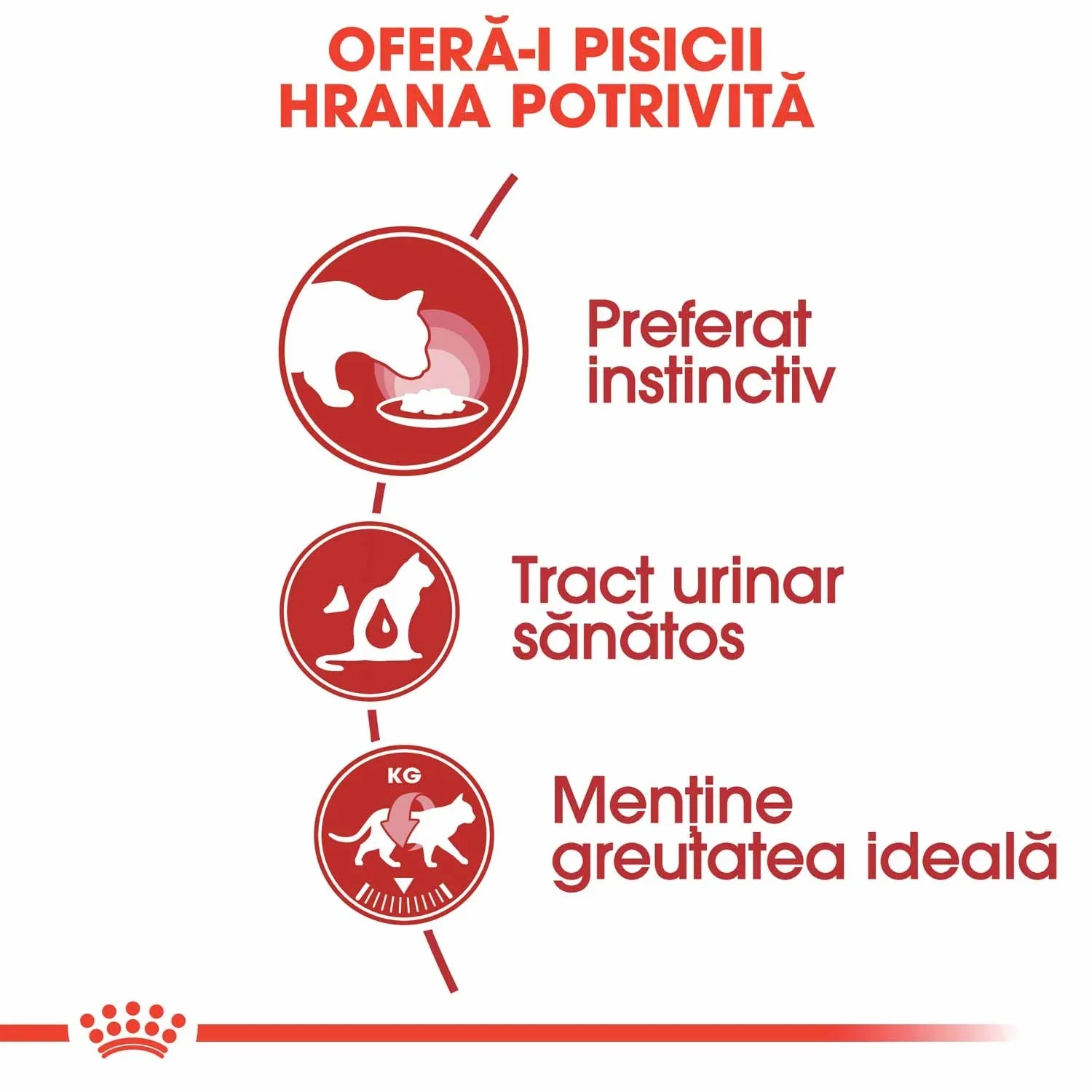 Romanian cat food benefits infographic showing instinctive preference, healthy urinary tract, and ideal weight maintenance