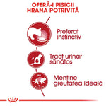 Romanian cat food infographic showing benefits: instinctive preference, healthy urinary tract, ideal weight maintenance