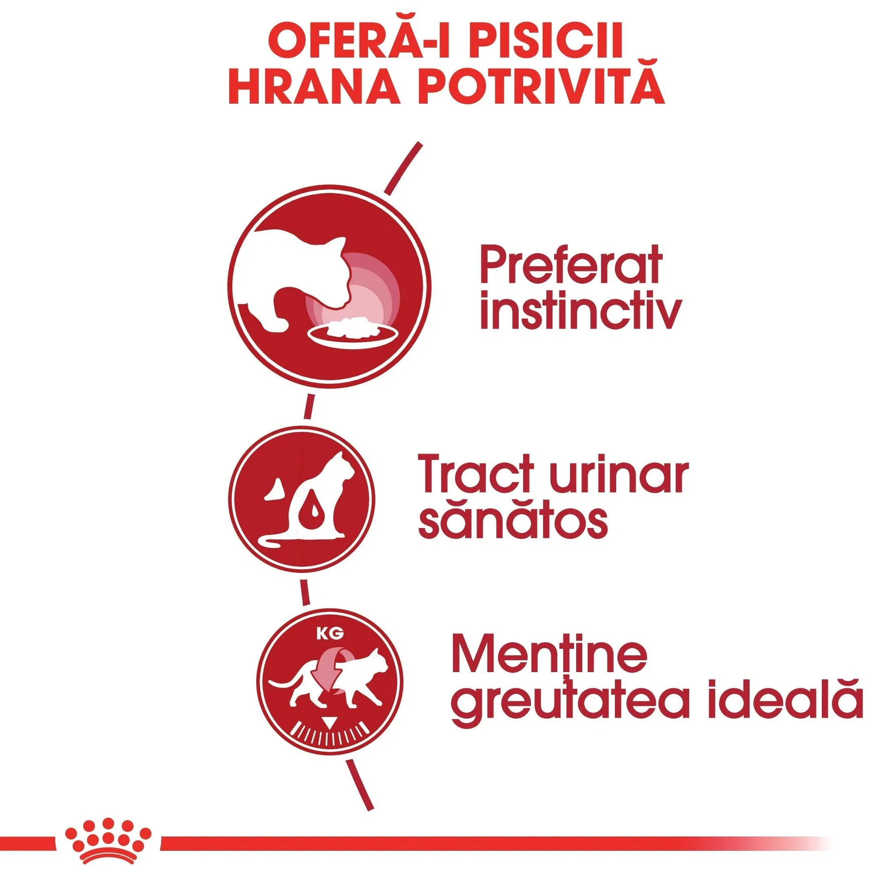 Romanian cat food infographic showing benefits: instinctive preference, healthy urinary tract, ideal weight maintenance