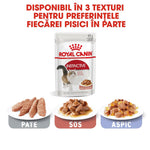 Royal Canin Instinctive wet cat food pouch and three plates showing pate, sauce, and aspic textures
