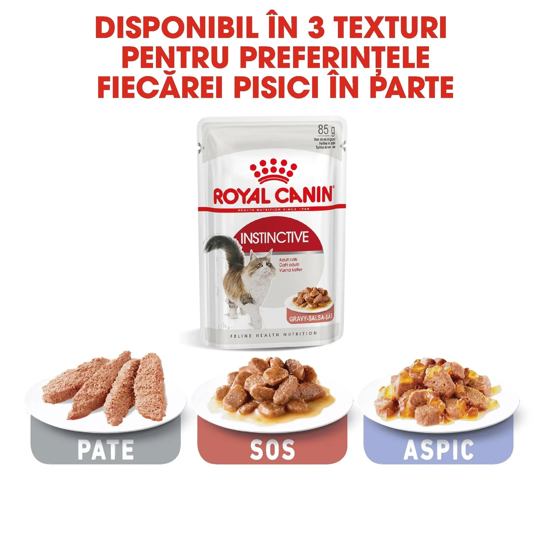 Royal Canin Instinctive wet cat food pouch and three plates showing pate, sauce, and aspic textures
