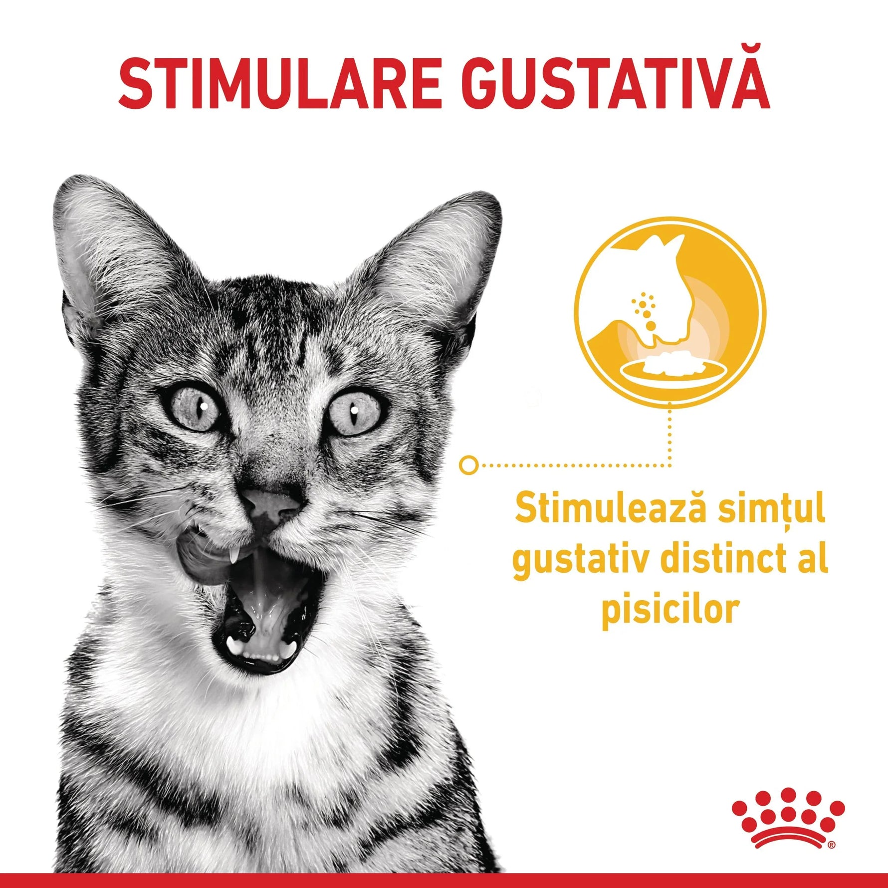 Black and white cat licking lips with text about stimulating cats' distinct taste sense