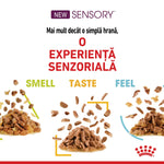 New Sensory pet food highlighting smell, taste, and feel for a sensory experience