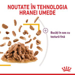 Wet pet food chunks in fine textured gravy with Romanian text about new wet food technology