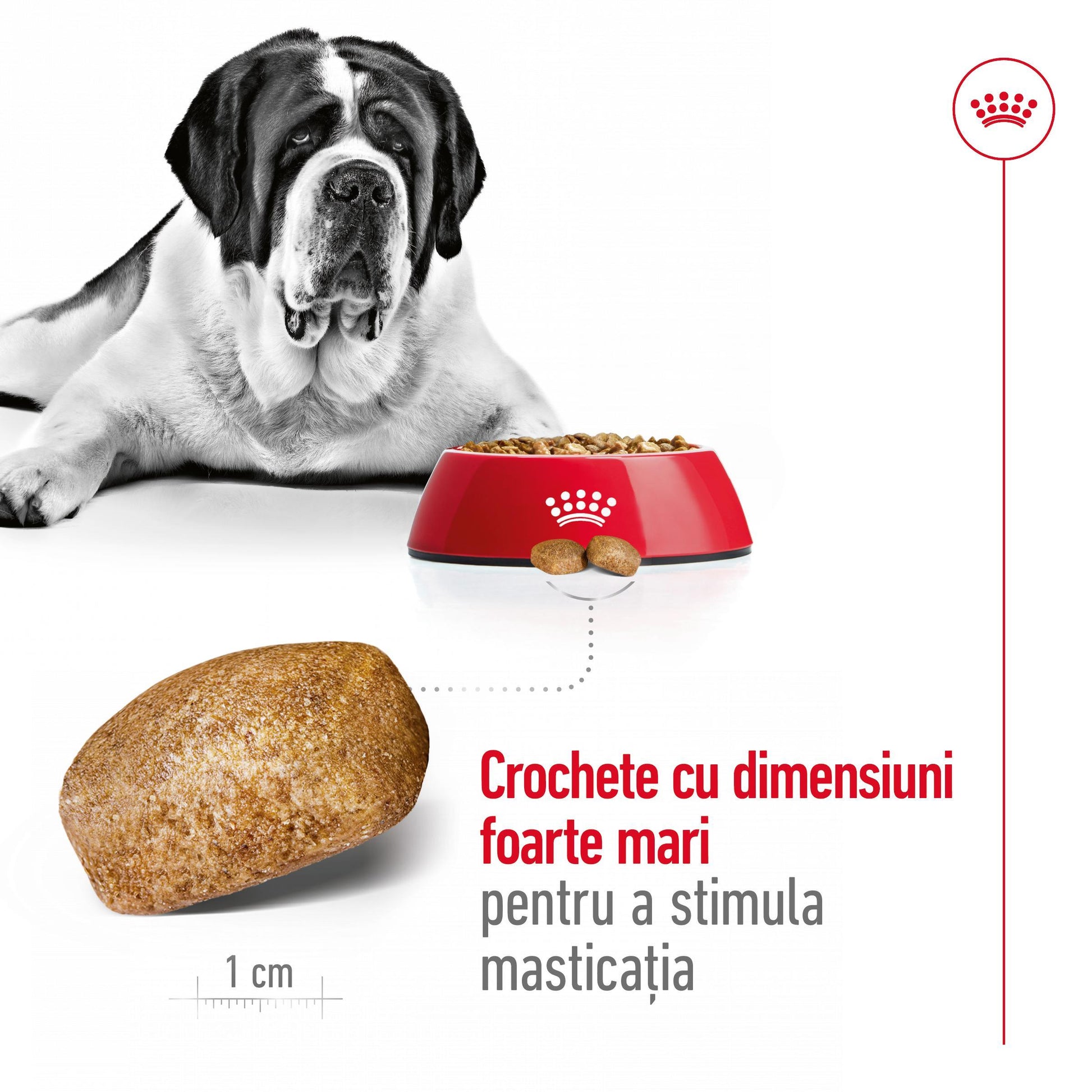 Royal Canin Giant Adult hrana uscata caine, 15 kg