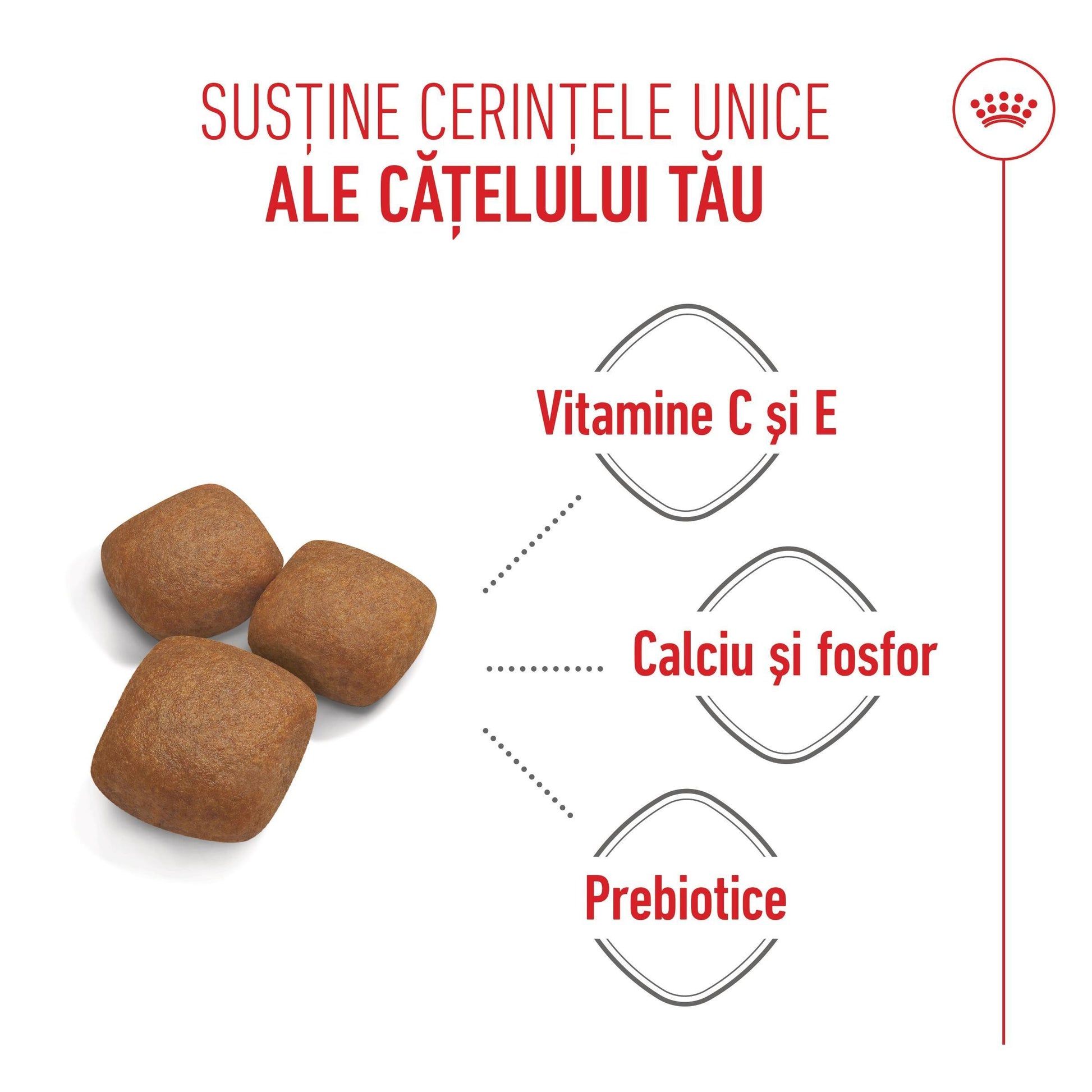 Royal Canin Giant Junior hrana uscata caine junior etapa 2 de crestere