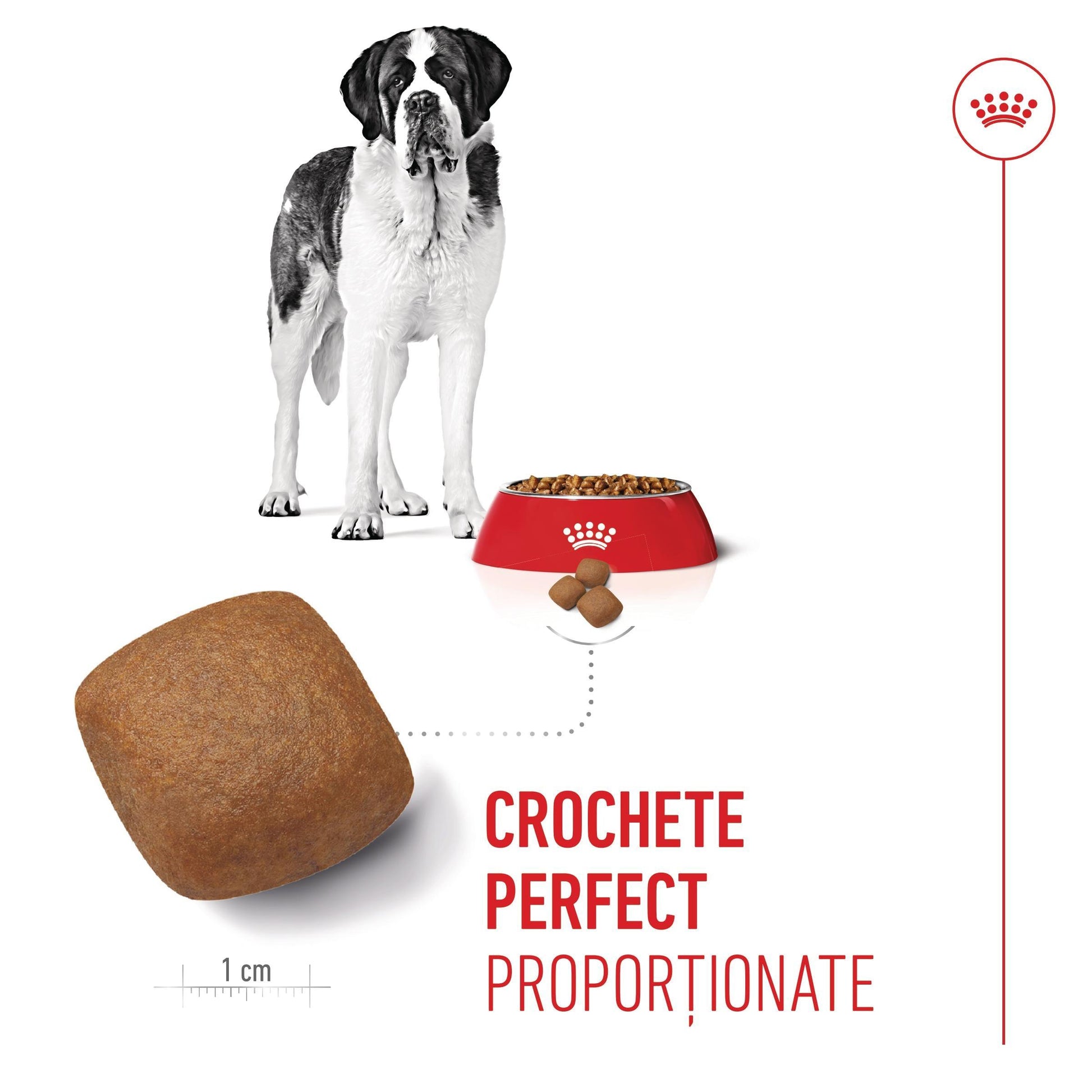 Royal Canin Giant Junior hrana uscata caine junior etapa 2 de crestere