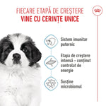 Royal Canin Giant Puppy hrana uscata caine junior etapa 1 de crestere