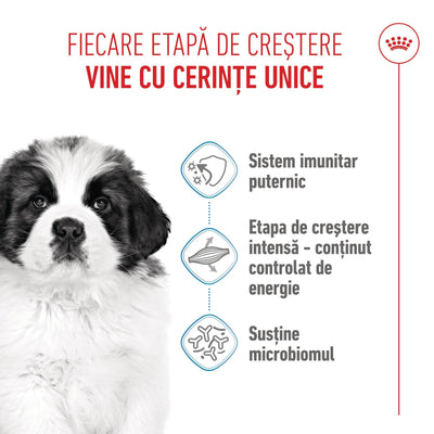 Royal Canin Giant Puppy hrana uscata caine junior etapa 1 de crestere